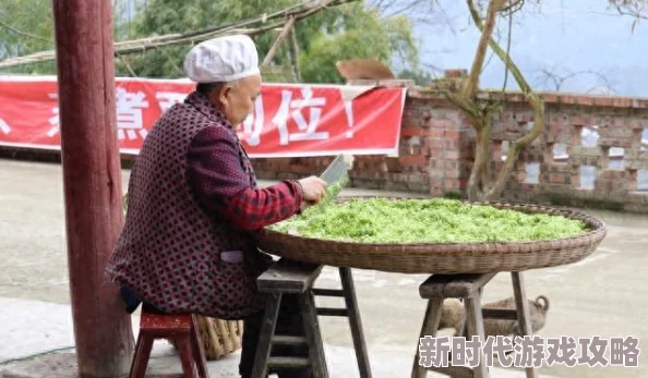 探索神秘无名江湖：高效完成任务与解锁奇遇任务的绝妙攻略