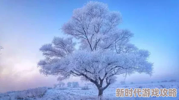 一极品视觉盛宴，真是让人目不暇接，画面美得令人陶醉，值得一看！