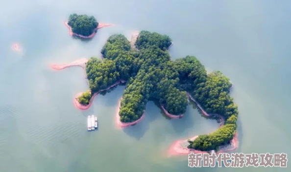 日本成日本片人免费，真是让人感到意外，这样的政策会对行业产生怎样的影响呢？