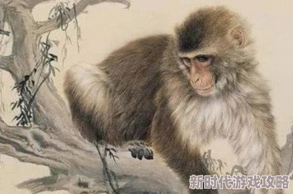 男生女生在一起努力生猴子，真是个有趣的说法，感情和事业都要并进！