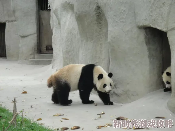 西施去小内没有小爱心有图有真相,看来这次的事件引发了不少网友的热议和讨论 西施去小内没有小爱心有图有真相,看来这次的事件引发了不少网友的热议和讨论