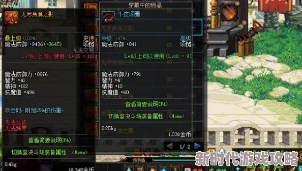 选择DNF中乌龟副本的最佳装备：全面解析与精选推荐