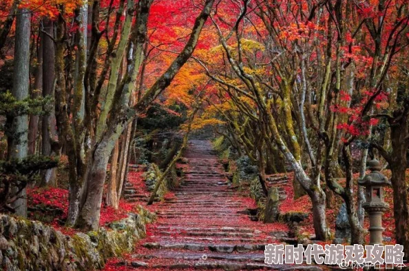 日本最神秘的地方竟然隐藏