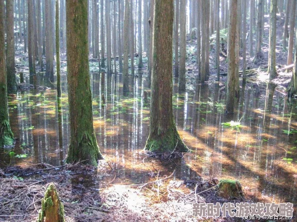 日本最神秘的地方竟然隐藏