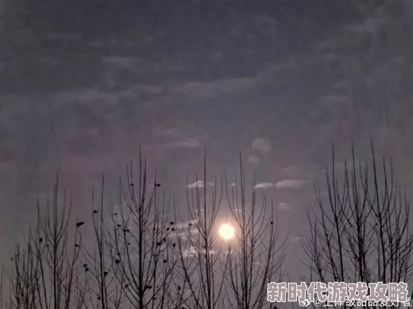 日日天干夜夜人人添，生活中的点滴都值得我们珍惜与记录