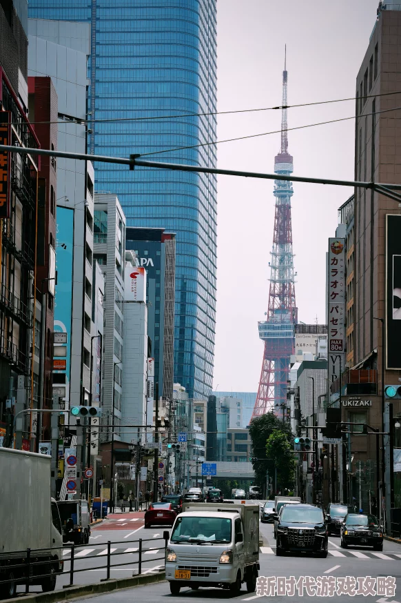 ＊日本