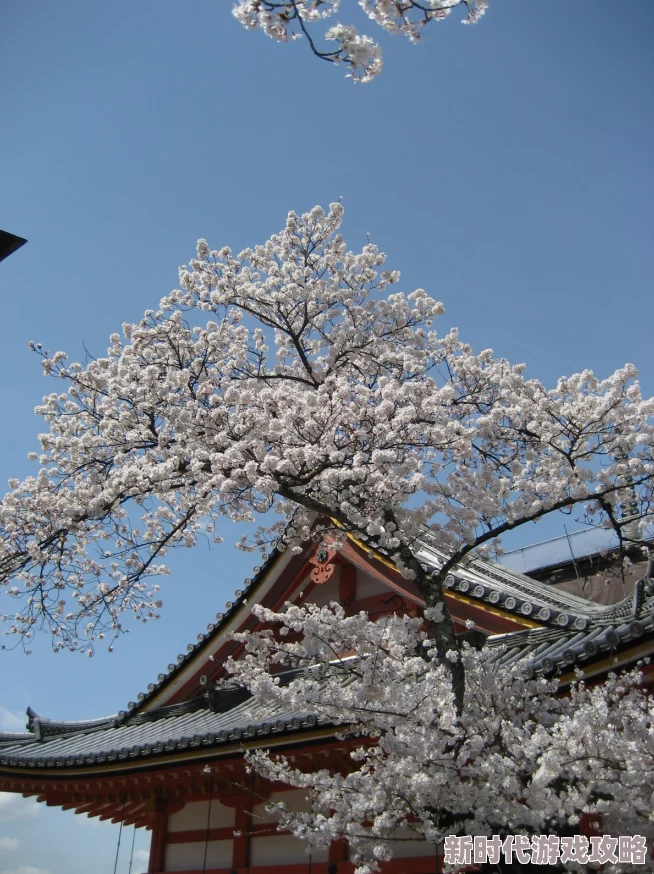 ＊日本