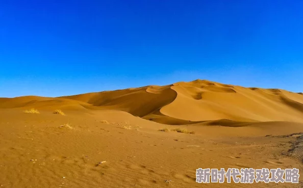 ＊艺术照全集网友认为这些作品展现了独特的创意和深刻的情感，值得一看，尤其是对艺术爱好者来说更是不可错过的视觉盛宴
