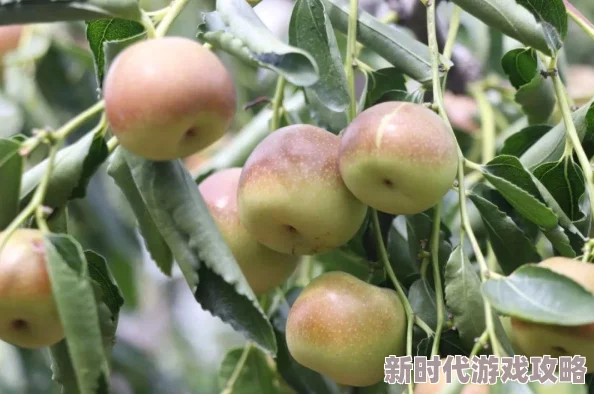 《三角洲行动》高效安全箱获取方法全攻略：详尽解析与实用技巧