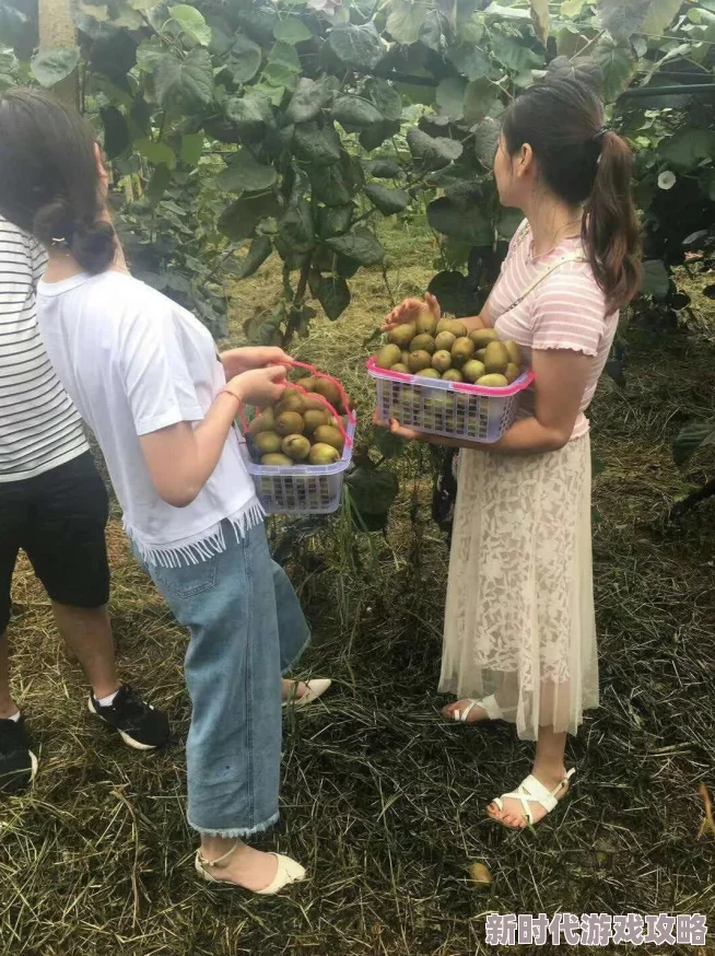 高效桃源记劳动力分配攻略：全面提升游戏进程速度与效率