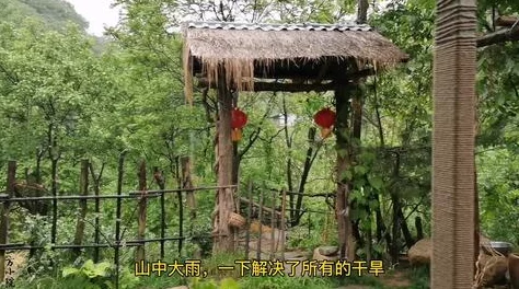 精致绝伦的《林间小世界》建筑装饰攻略推荐指南