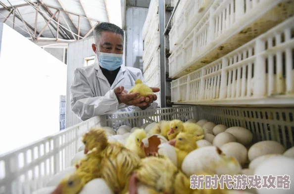 国产黄毛片：最新动态与市场反应分析，探讨其对行业发展的影响及未来趋势