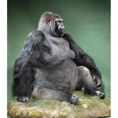 极具挑战性的原始传奇猩猩战甲合成方法与攻略详解