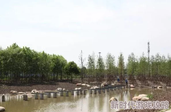 华丽典雅的第五人格红枫地毯价格查询：究竟多少钱能拥有？