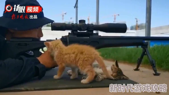 萌宠猫咪狙击手：详尽新手教程，打造精准射击的可爱之旅