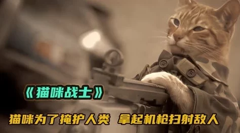 萌宠猫咪狙击手：详尽新手教程，打造精准射击的可爱之旅