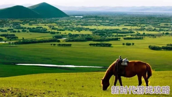 青青草原综合久久大伊人精品近日推出全新系列产品，吸引了众多消费者的关注与喜爱，成为市场热销的焦点