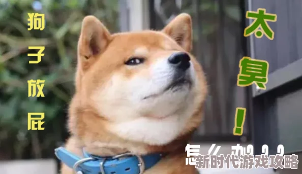 昨晚我和我家狗做了惊天大事竟然一起解锁了新技能还拍下了搞笑视频引发全网热议