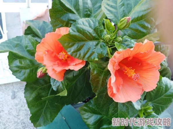 2024年度超搞笑精选！十大最奇葩沙雕游戏排行榜推荐