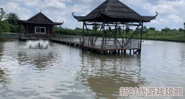 裸身裸乳免费视频网站在倡导健康与美的同时也提醒大家关注自我价值和内心成长，积极追求生活中的正能量与幸福感
