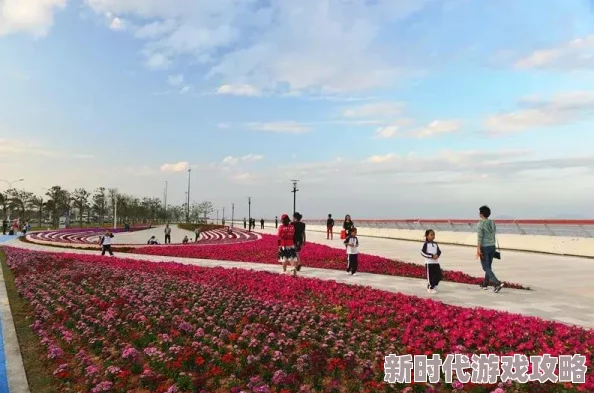 哪款DNF元旦礼包最值得购买？全面解析，精选性价比最高的！