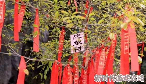 哪款DNF元旦礼包最值得购买？全面解析，精选性价比最高的！