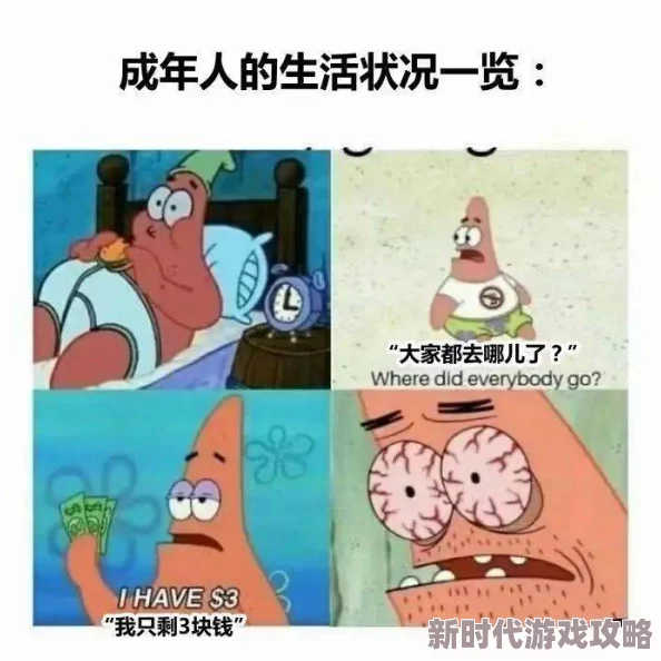 成年黄页网站大全免费观看最新热门资源汇总让你轻松找到各种成人内容平台快来体验丰富多彩的在线世界