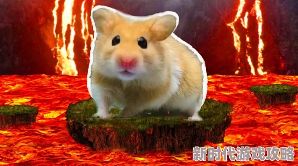 2024年超热门火爆刺激小仓鼠闯关游戏大盘点，精选好玩至极的作品
