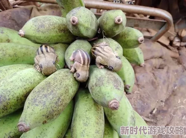 国产青草亚洲香蕉精品久久，真是个有趣的名字，让人忍不住想了解更多内容