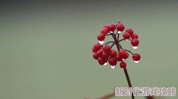 日本爽爽爽爽爽爽在线观看免在追求梦想的道路上，我们要勇敢前行，积极面对挑战，相信未来会更加美好！