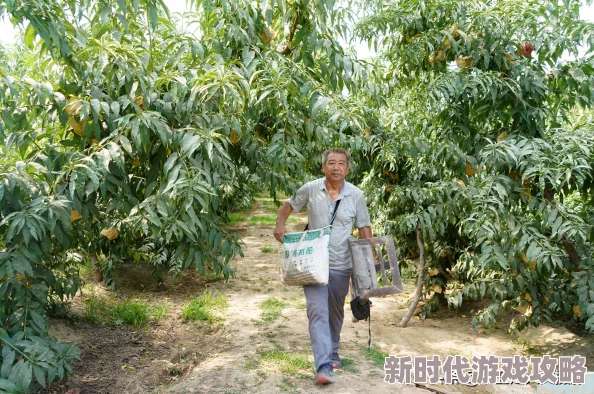 桃子视频在线观看高清免费视频在这个美好的季节里让我们一起享受生活的甜蜜与快乐，分享每一个精彩瞬间，共同创造美好回忆