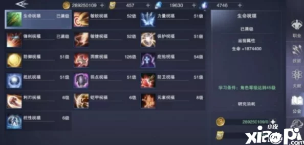 详尽解析：新神魔大陆中圣女角色的绝佳技能搭配介绍与攻略