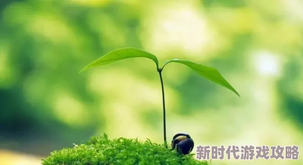 青青草视频下载让我们在繁忙的生活中找到放松与快乐的时刻，享受美好生活带来的正能量与积极心态