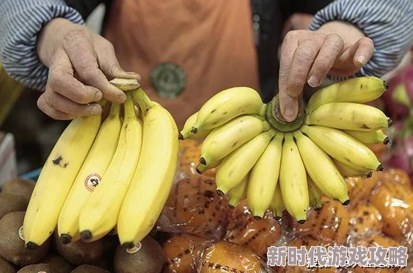久久久久香蕉近日被曝出与多位明星合作新歌引发热议粉丝们纷纷期待这首神秘单曲的发布时间和内容