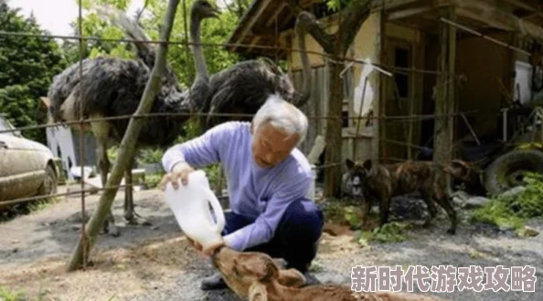 泰国日本娇小女人6∽8xxxxxx，真是让人惊艳的组合，期待更多精彩内容！