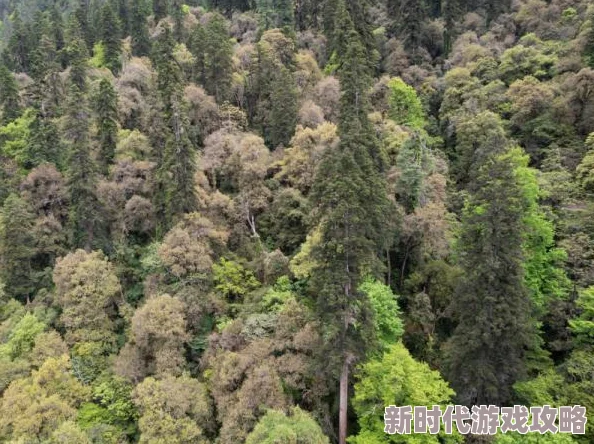 详尽的原始传奇BOSS刷新时间表及高频出现规律解析