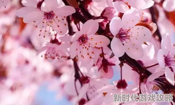 精彩纷呈的樱花迷你秀游戏大全 类似热门手游2024免费下载推荐