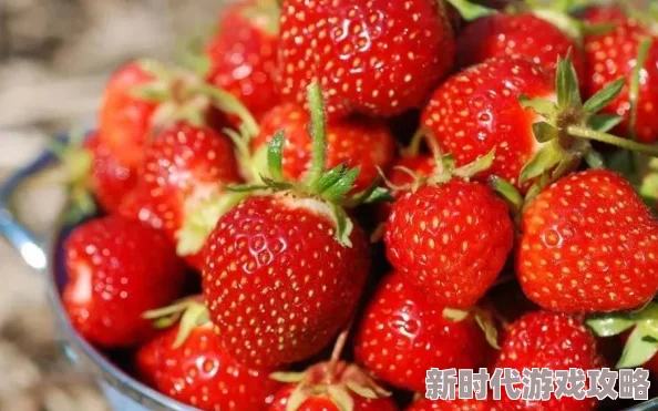 草莓视频免费下载污最新进展消息：该应用因涉嫌侵犯版权和传播不良信息被多地监管部门查处并下架，用户需谨慎使用相关软件
