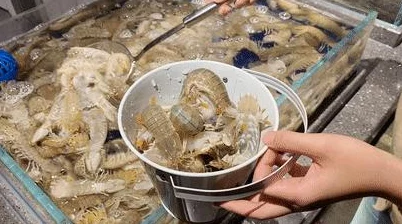 男人把女人桶爽30分钟最新进展消息：近日有网友分享了一段视频引发热议，众多评论纷纷表示对此事件的看法与反应