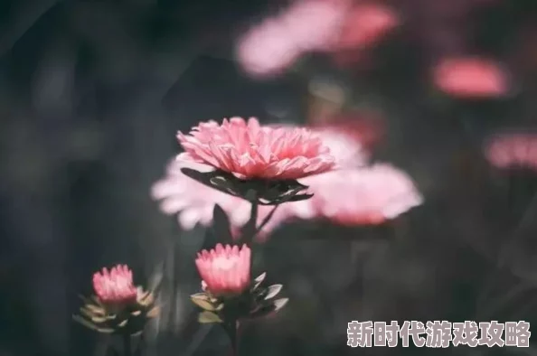 用力挺进她的花苞啊高清视频近日在网络上引发热议许多网友对此视频内容表示关注并展开讨论