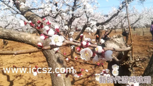 跨坐在舌头上h惊爆