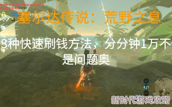 塞尔达传说智慧的再现：高效详尽赚钱攻略，助你轻松获取丰厚财富