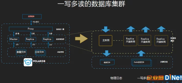 高效掌握白荆回廊云无月培养策略：详尽技巧与深度解析攻略