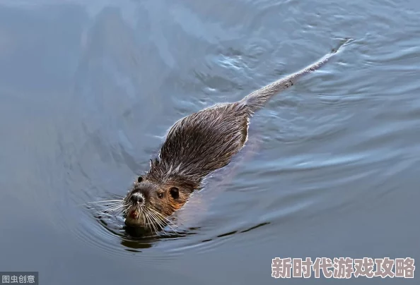 精彩攻略：如何在猫和老鼠跑酷游戏中巧妙获取超高分技巧