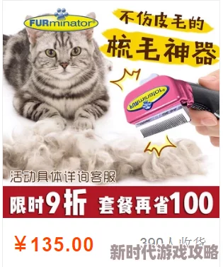 详尽的猫之城兑换码大全介绍：精选丰富福利，一网打尽