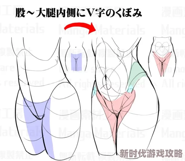 艺用人体造型图集最新进展消息：新一版图集发布，涵盖多种风格与姿势，为艺术创作提供更丰富的参考资料