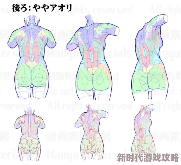 艺用人体造型图集最新进展消息：新一版图集发布，涵盖多种风格与姿势，为艺术创作提供更丰富的参考资料