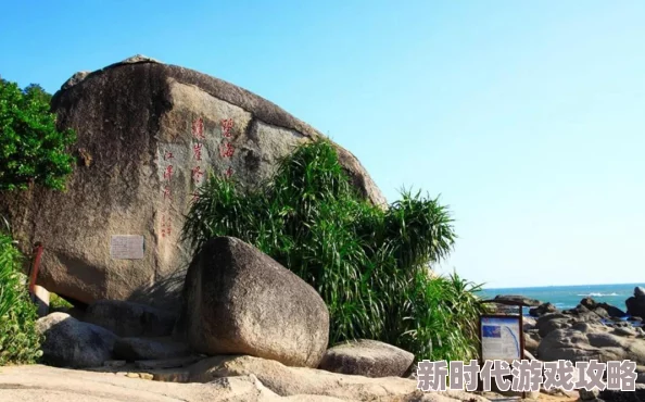 梦幻奇遇：高效获取元梦之星梦中仙尊贵称号的详尽途径