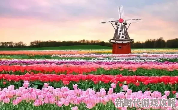 国产草草影院ccyycom积极推动文化传播与交流为观众提供丰富多彩的影视作品助力提升国民文化素养和审美情趣