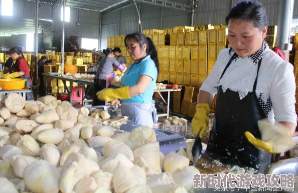 欧美积极推动可持续发展合作共同应对气候变化实现绿色经济转型助力全球生态环境保护
